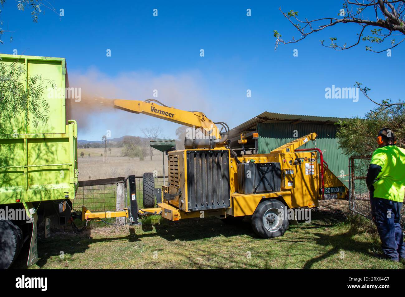 Uno sminuzzatore o sminuzzatore di legno diesel Vermeer BC1800XL al lavoro in una fattoria australiana/ Foto Stock