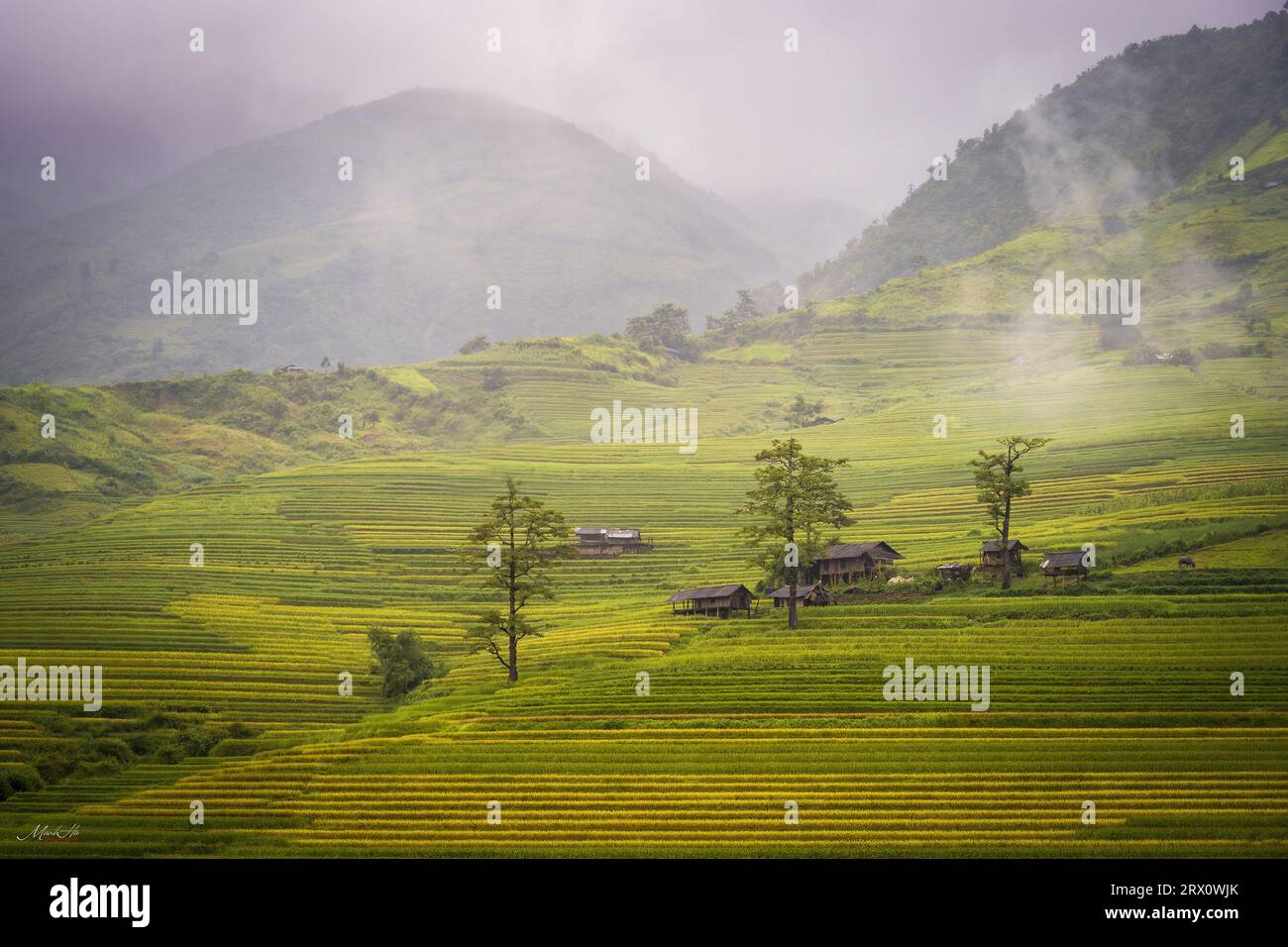 Phong Cảnh đẹp Việt Nam Foto Stock