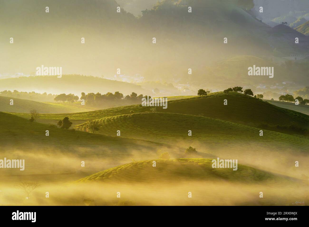 Phong Cảnh đẹp Việt Nam Foto Stock