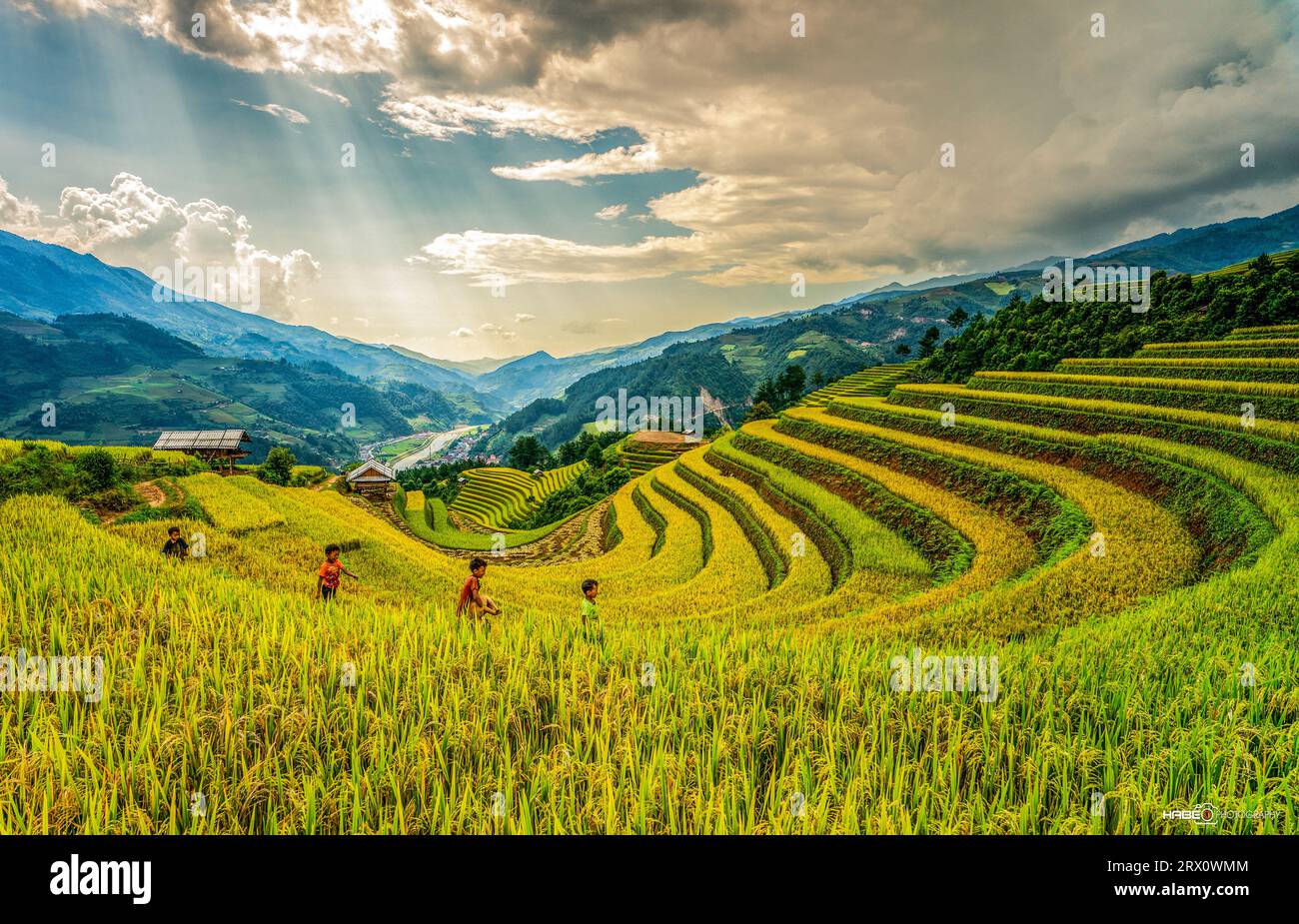 Phong Cảnh Việt Nam Foto Stock