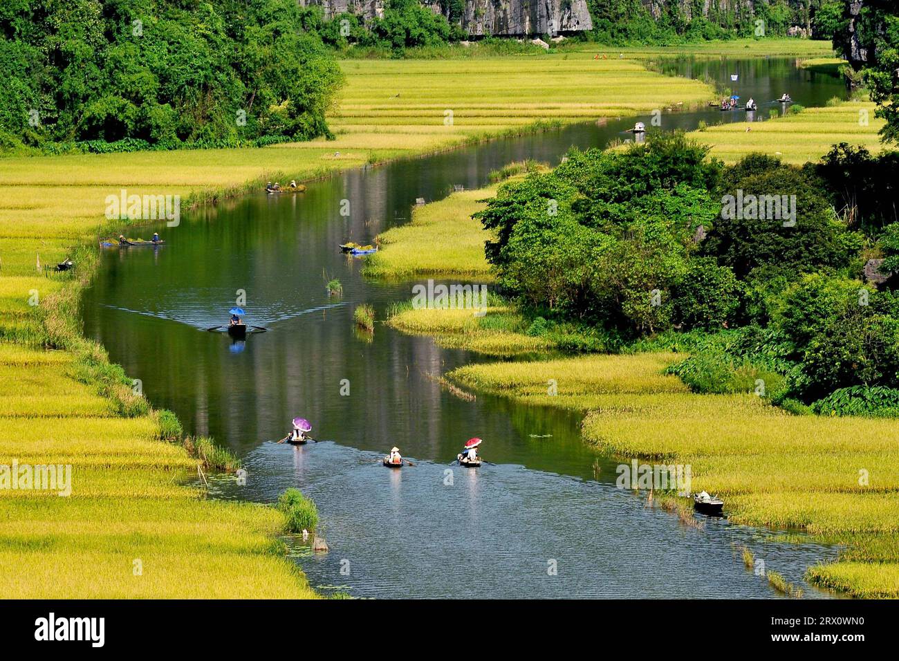 Phong Cảnh Việt Nam Foto Stock