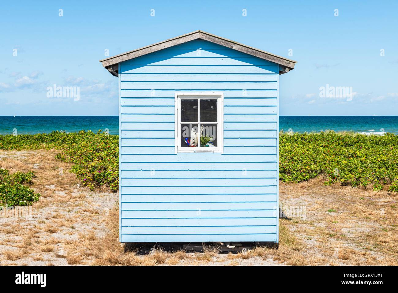 Vista frontale sul retro di una capanna da bagno di legno bianco blu sulla spiaggia di Skanör med Falsterbo presso il Öresund al sole del mattino, Skåne, Svezia Foto Stock