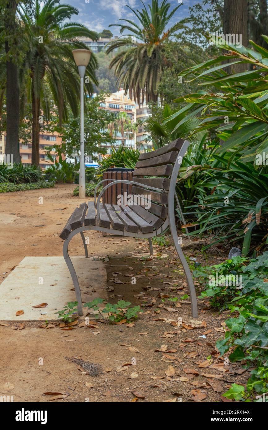 Parque de Malaga, Jardin subtropicale, giardino botanico di Malaga con vecchie panchine di legno per gli escursionisti Foto Stock