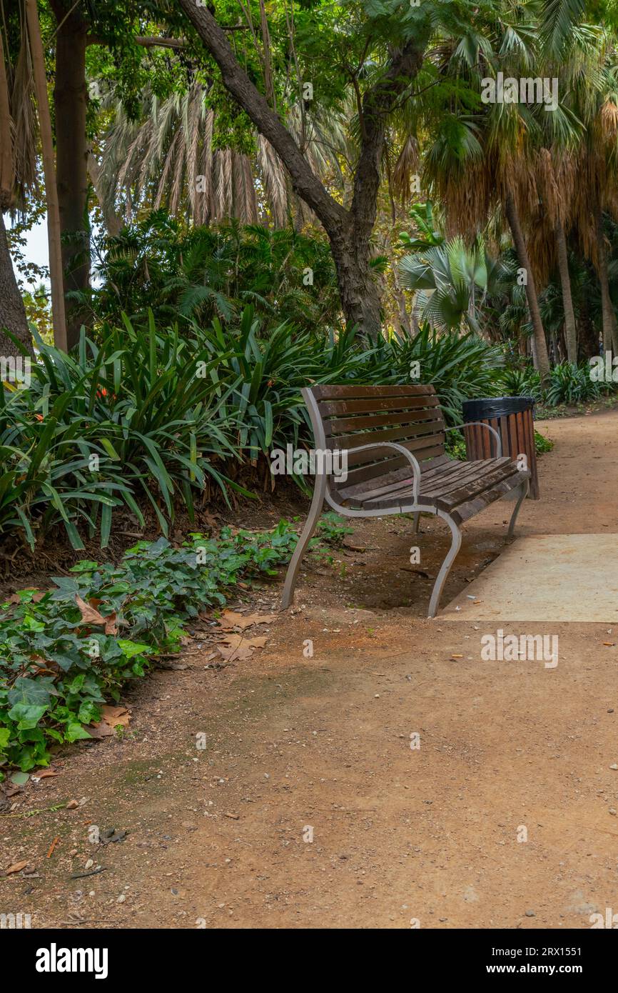 Parque de Malaga, Jardin subtropicale, giardino botanico di Malaga con vecchie panchine di legno per gli escursionisti Foto Stock