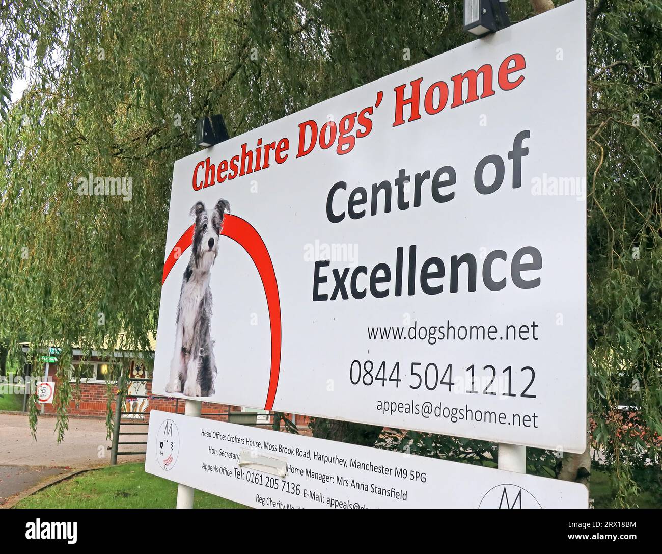 Cheshire Dogs Home, centro di eccellenza, Grappenhall, 225 Knutsford Rd, Thelwall, Warrington, Cheshire, Inghilterra, Regno Unito, WA4 3JZ Foto Stock