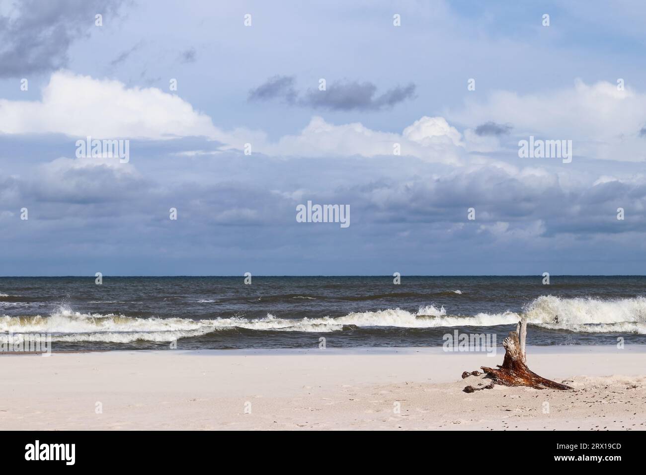 La costa del Mar Baltico e la spiaggia selvaggia vicino al villaggio di Leba in Polonia Foto Stock