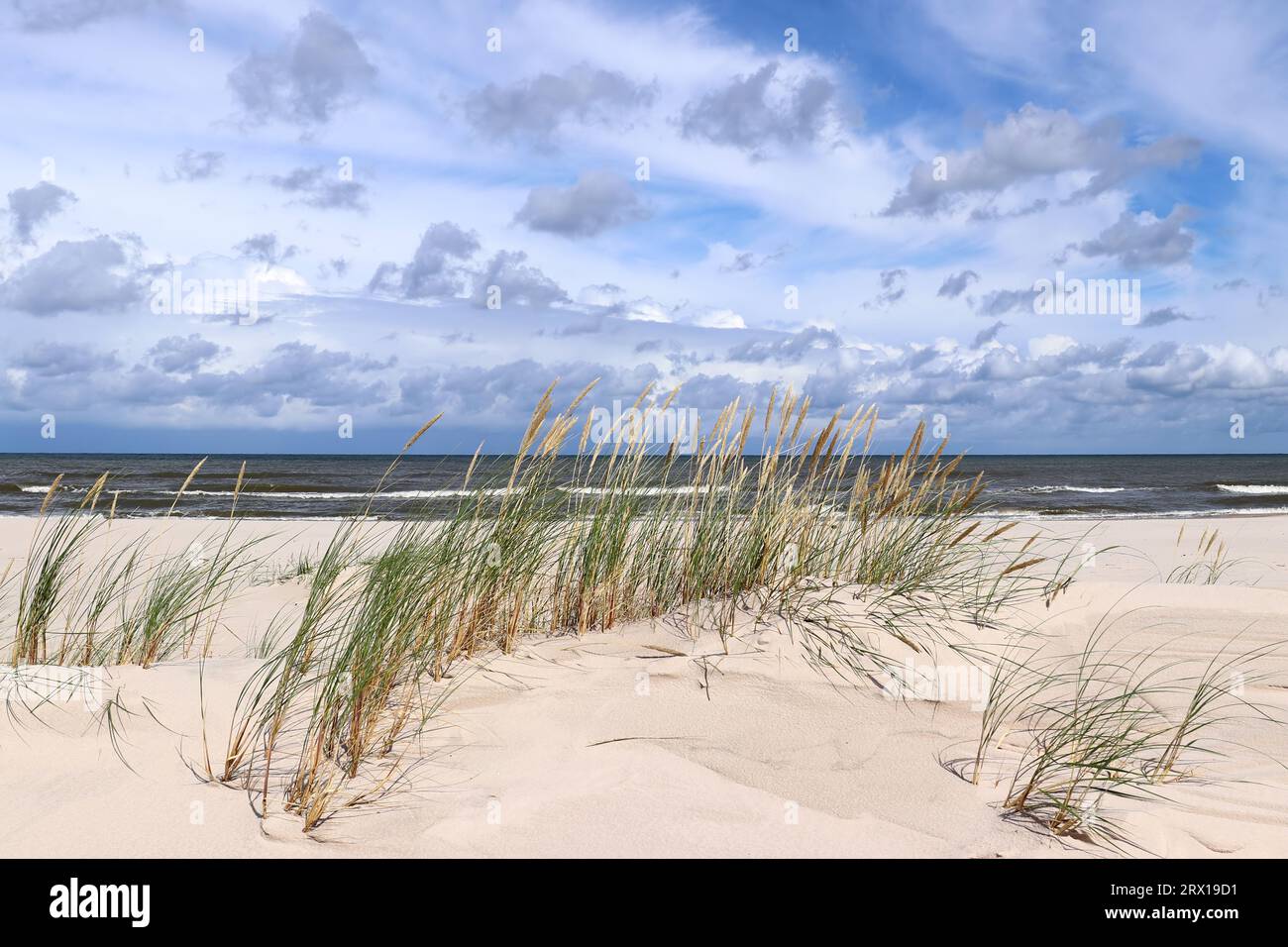 Erba e sabbia sulla costa del Mar Baltico e spiaggia selvaggia accanto alle dune mobili nel Parco Nazionale Slovacco, conosciuto anche come Parco Nazionale Slowinski, Leba Foto Stock