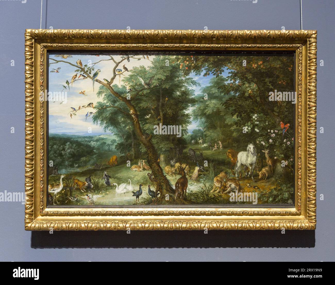 Paradiso e caduta dell'uomo dipinto da Brueghel il Vecchio Foto Stock
