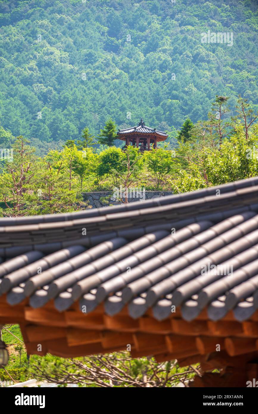 Vista ad alto angolo del tetto in tegole del padiglione, Corea del Sud Foto Stock