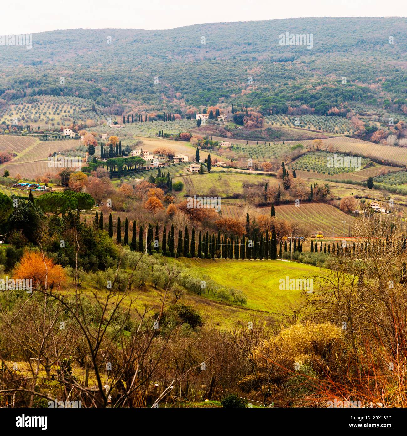 Paesaggio toscano con ville e vigneti, San Gimignano, Toscana, Italia Foto Stock