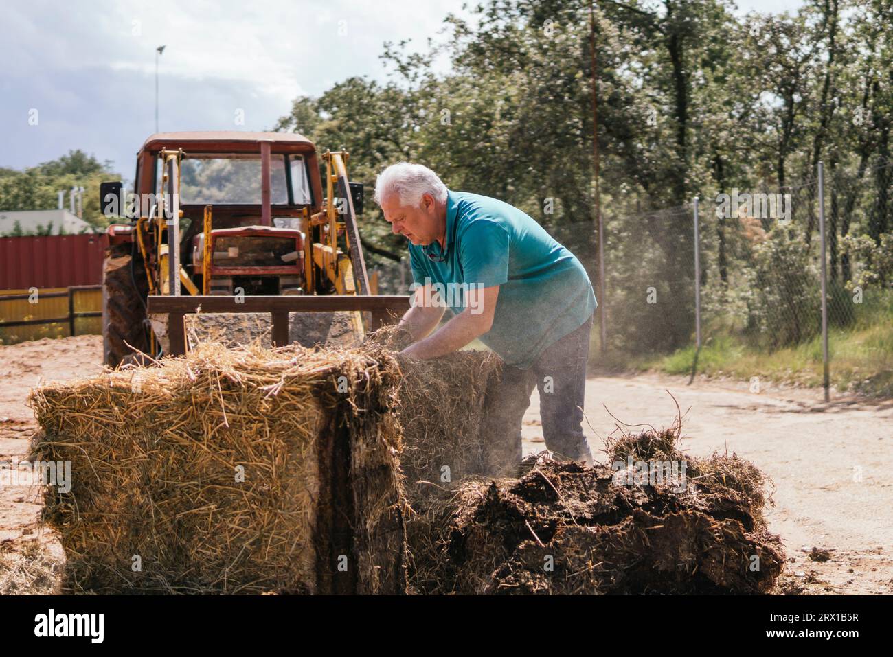 uomo anziano che muove paglia che lavora con un trattore in un'azienda agricola Foto Stock