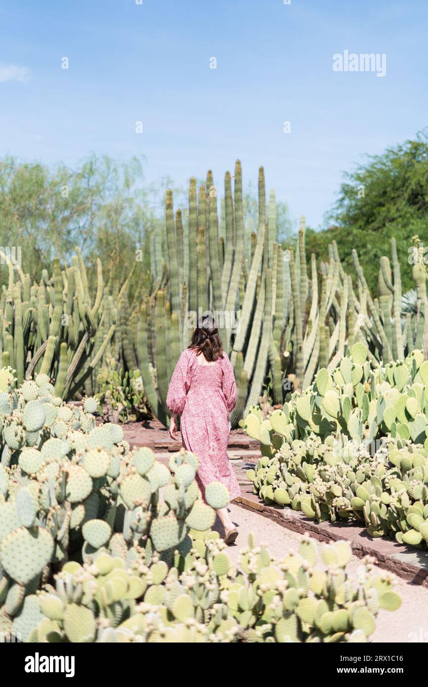 Una donna in maxi abito rosa floreale che cammina attraverso i cactus del deserto Foto Stock