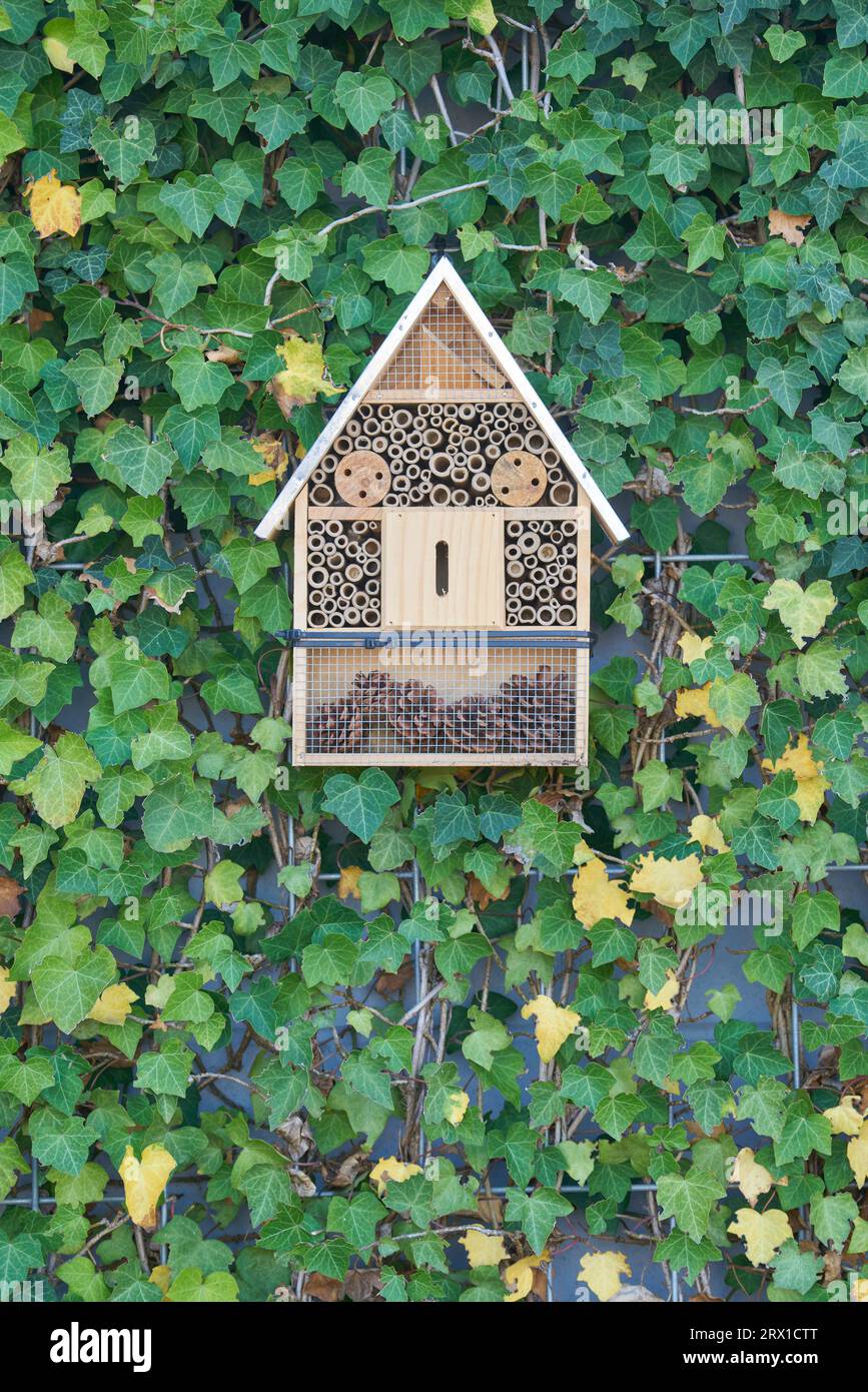 Casa degli insetti, casa degli insetti. gli insetti incoraggiano gli impollinatori Foto Stock