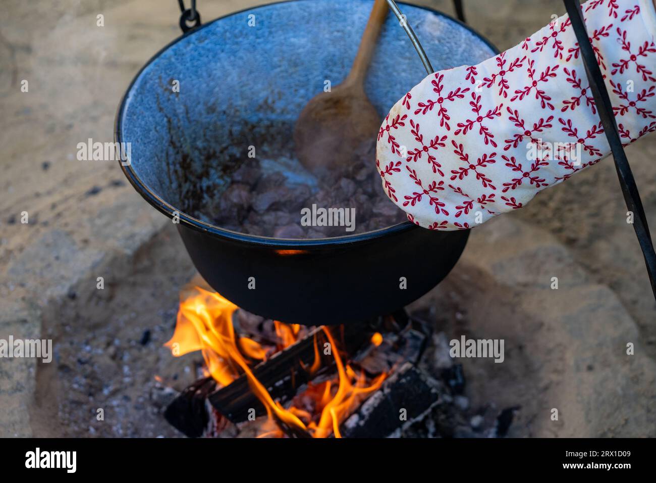 Barbecue con gulasch bollitore in giardino Foto Stock