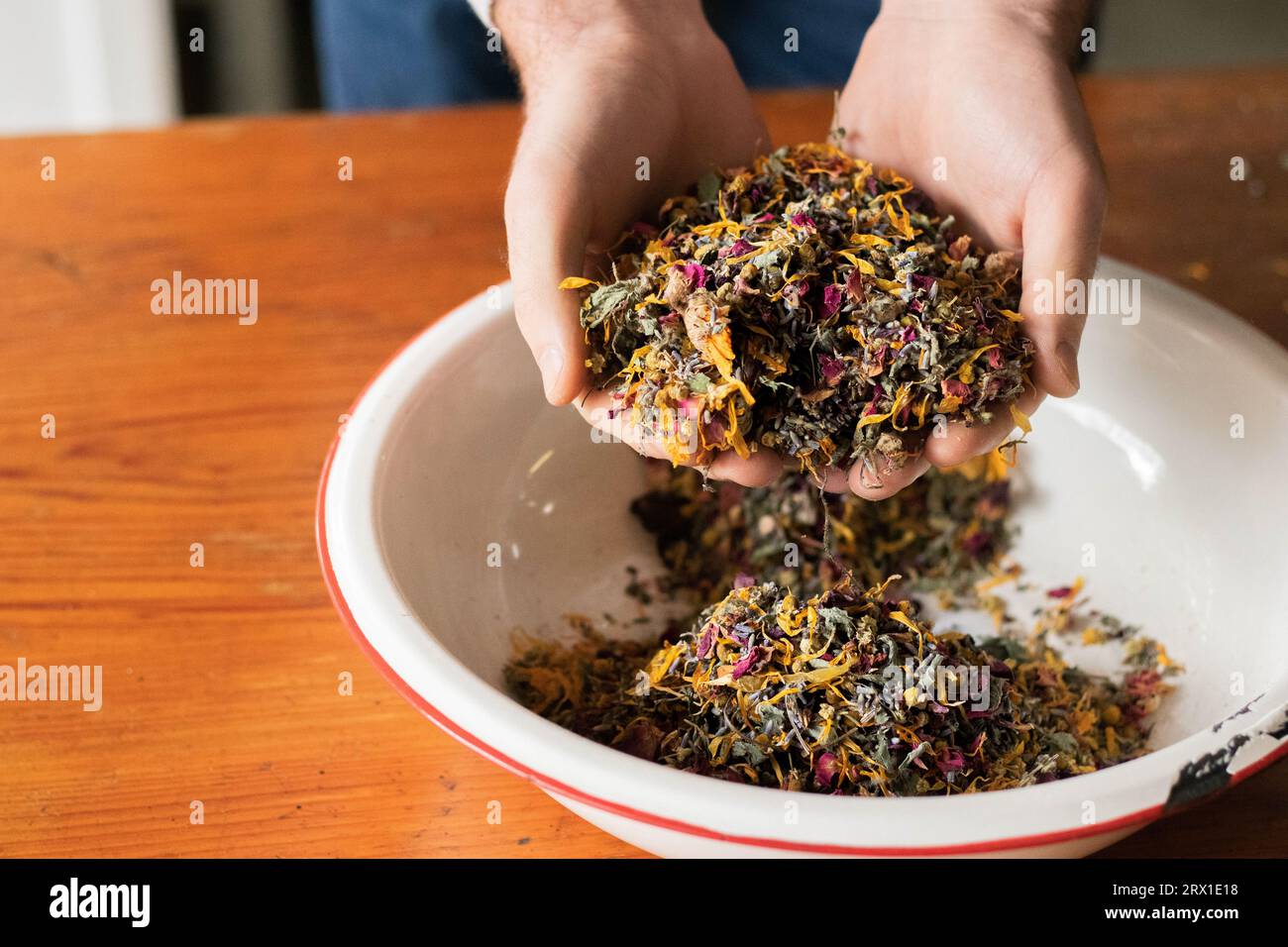 Le mani di una donna cullano una ciotola di foglie di tè assortite ed erbe aromatiche. Foto Stock