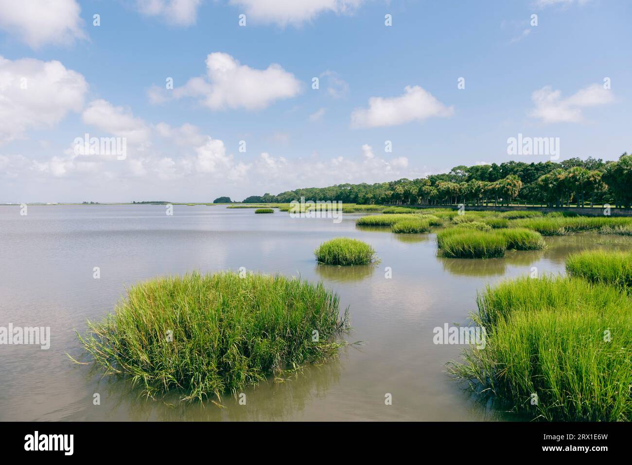 Estate sulla costa della Georgia del Sud Foto Stock