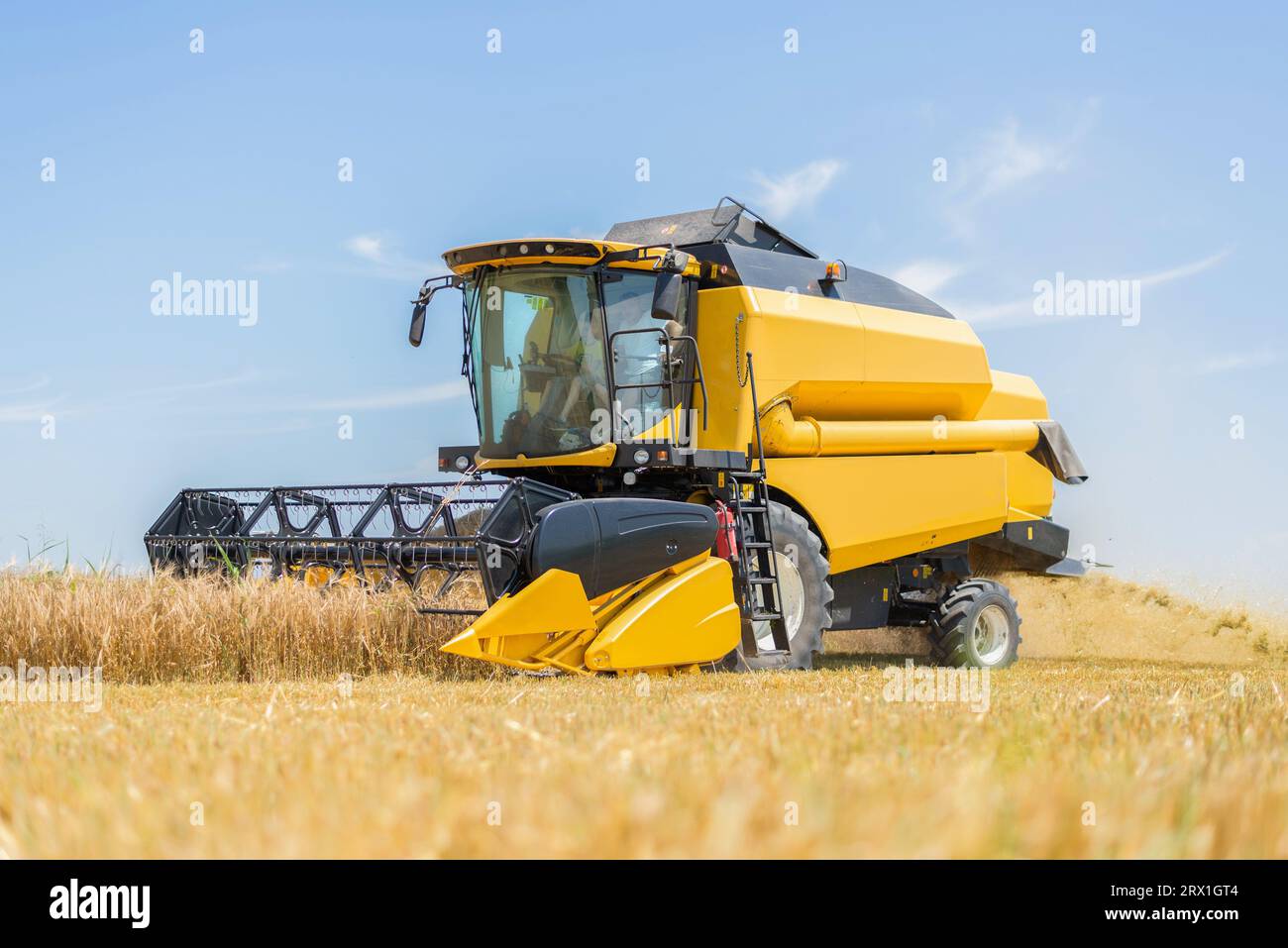 Mietitrebbiatrice gialla per la mietitura sul campo Foto Stock