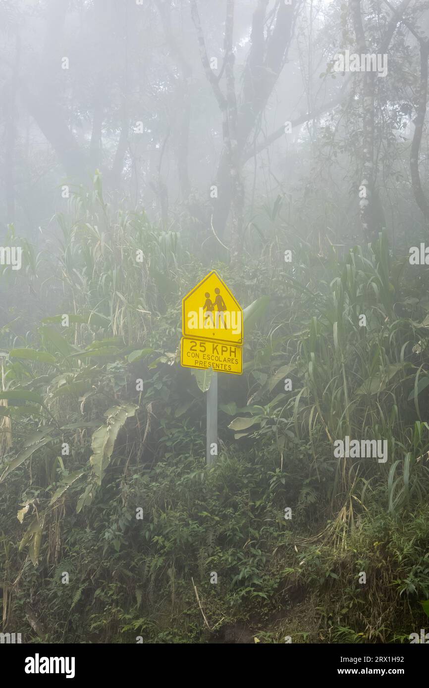 Segnali stradali nel Parco Nazionale di Monte Verde, Costa Rica, in una giornata molto nebbiosa. Foto Stock