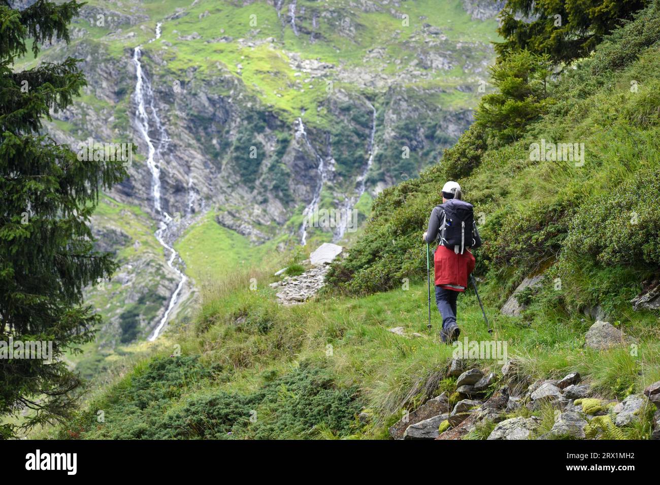 Alpinista che sale al rifugio Magdeburger in Val Pflerschtal, alto Adige, Italia Foto Stock
