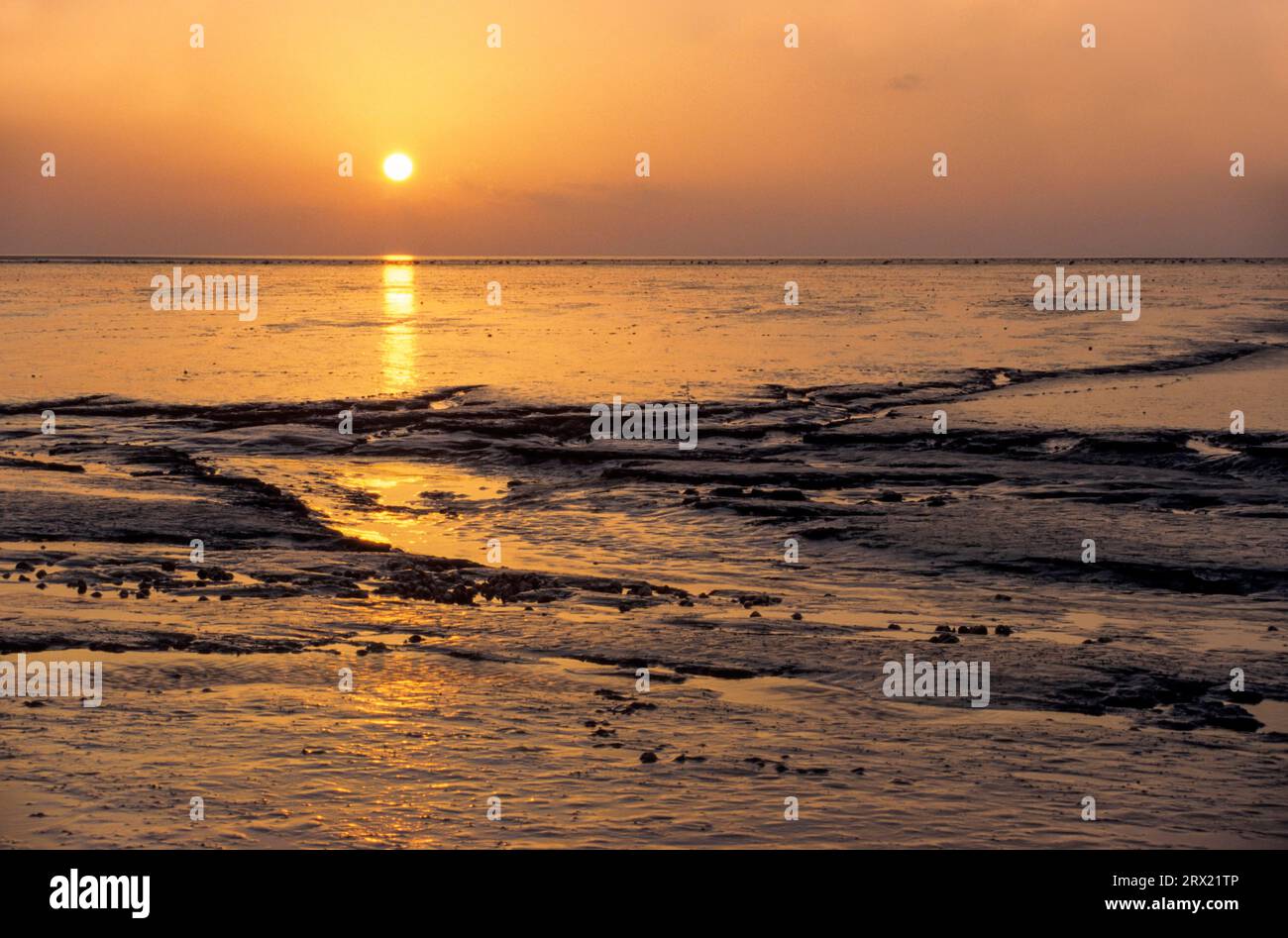 Tideway al tramonto sulla costa del Mare del Nord, Meldorfer Bucht, Schleswig-Holstein Foto Stock