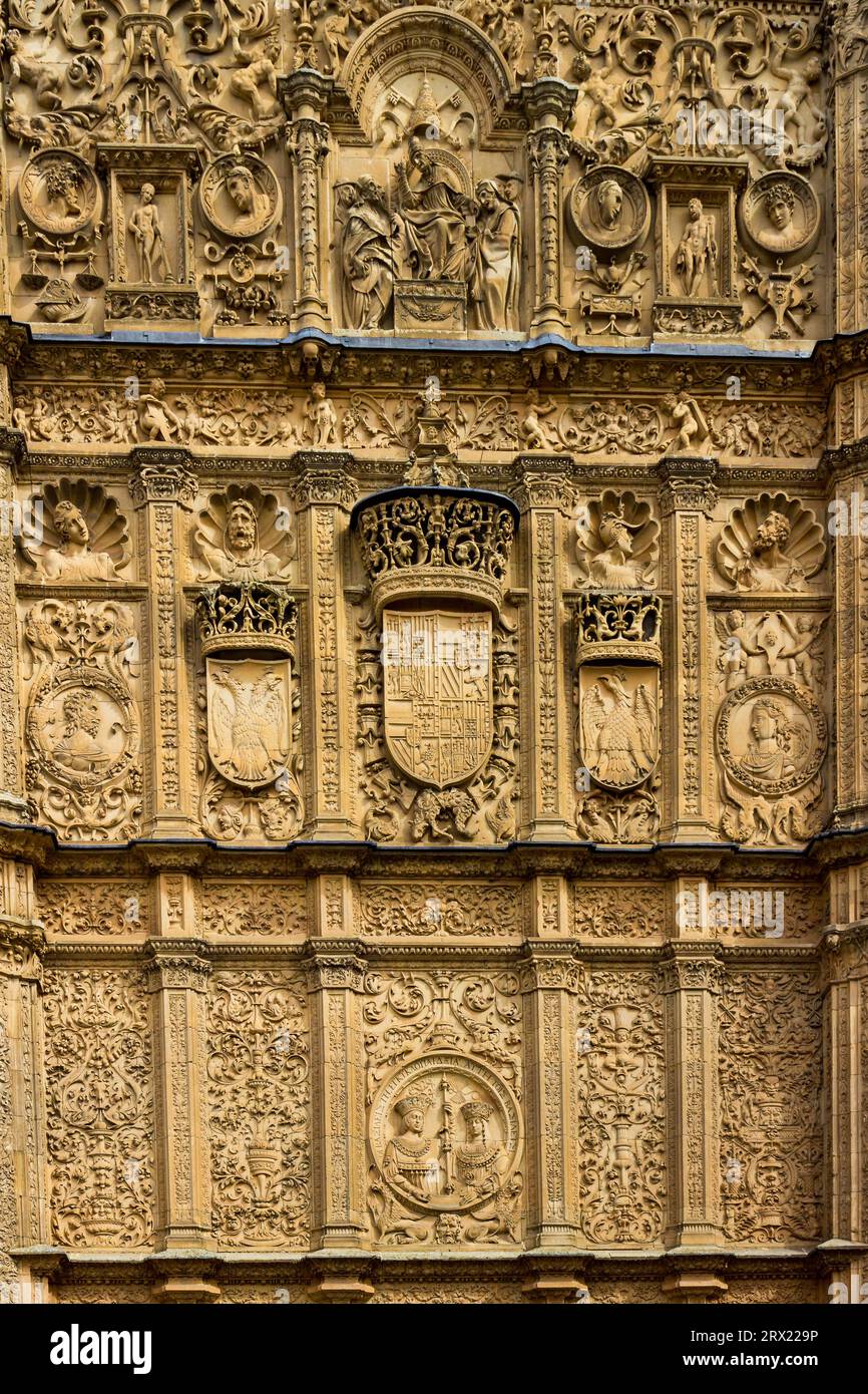 Scultura in pietra di qualità nell'edificio dell'Università del XII secolo, Salamanca Foto Stock