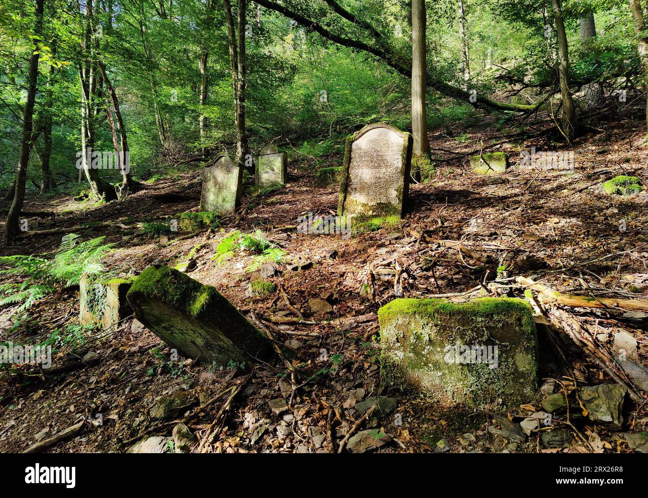 Zona Monumento Vecchio cimitero ebraico nella foresta, ricoperto di vegetazione, è stato occupato fino al 1877, monumento culturale, Cochem, Renania-Palatinato, Germania, Europa Foto Stock