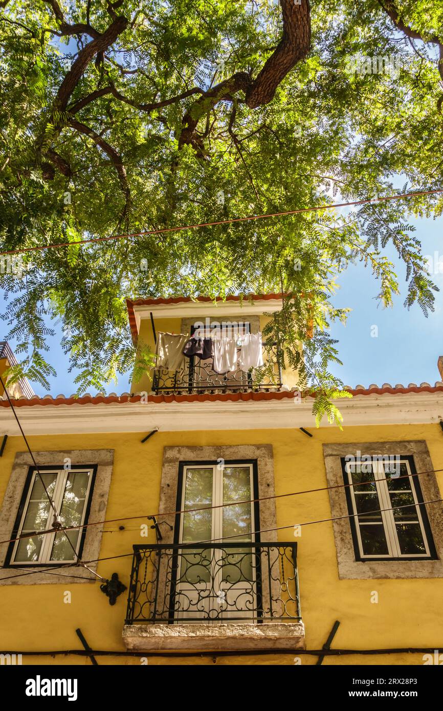 Una graziosa casa dipinta di giallo ombreggiata da un albero di acacia in una strada secondaria nell'Alfama, il vecchio quartiere di Lisbona, Portogallo Foto Stock