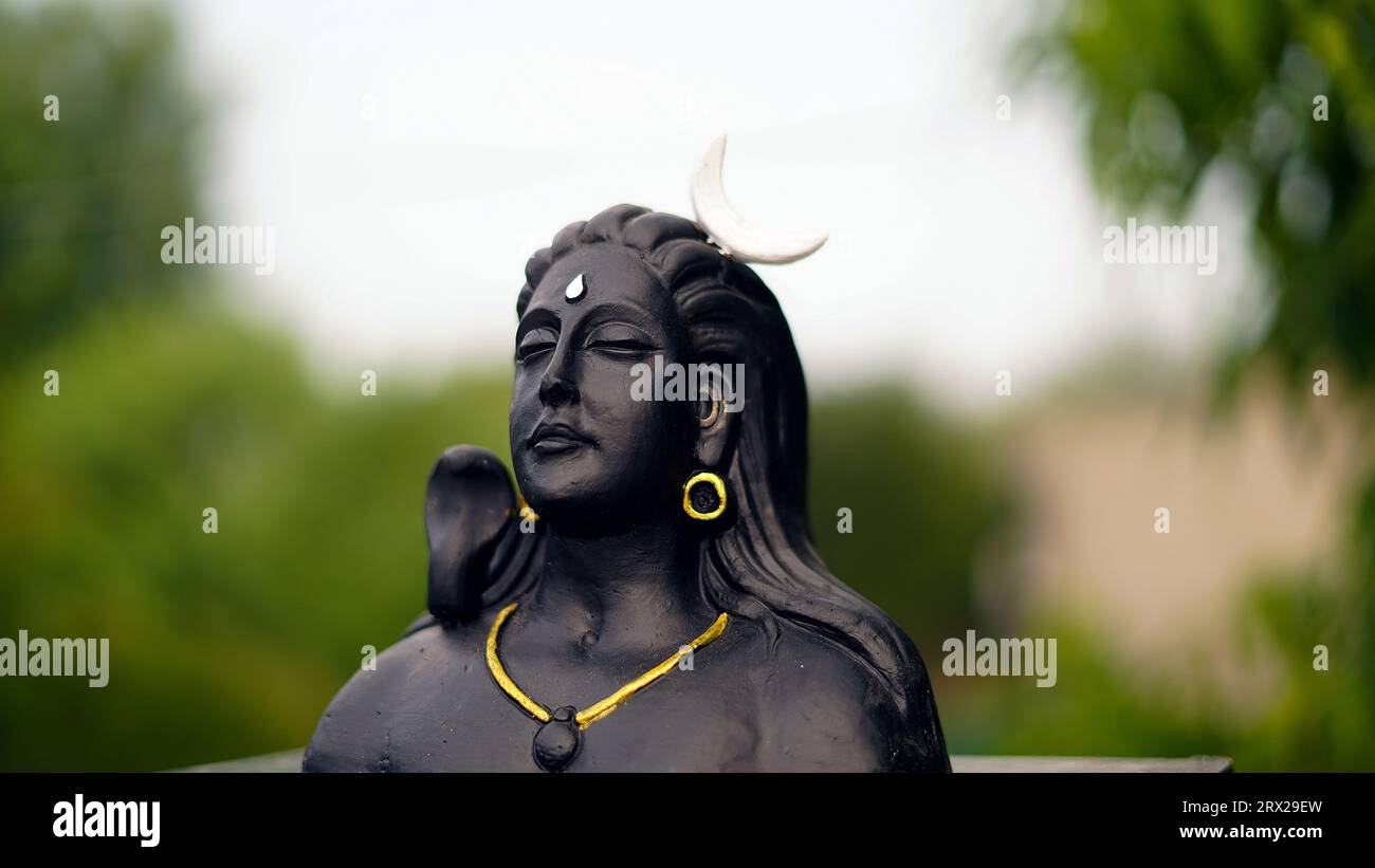 Lord Ganesha, Adiyogi e maa Durga Idol o statua isolata sullo sfondo delle foglie verdi. Concetto di festival indiano. Foto Stock