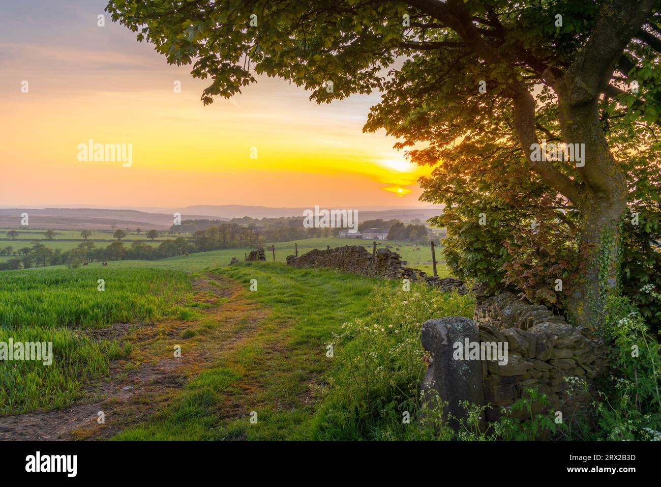Vista del tramonto da Wadshelf nel Peak District National Park, Derbyshire, Inghilterra, Regno Unito, Europa Foto Stock