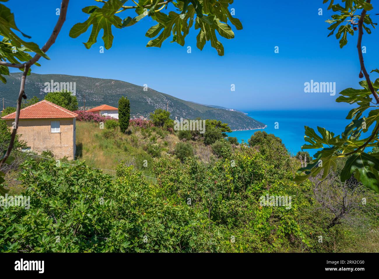 Vista delle case che si affacciano sulla costa, sul mare e sulle colline vicino ad Agkonas, Cefalonia, Isole Ionie, Isole greche, Grecia, Europa Foto Stock