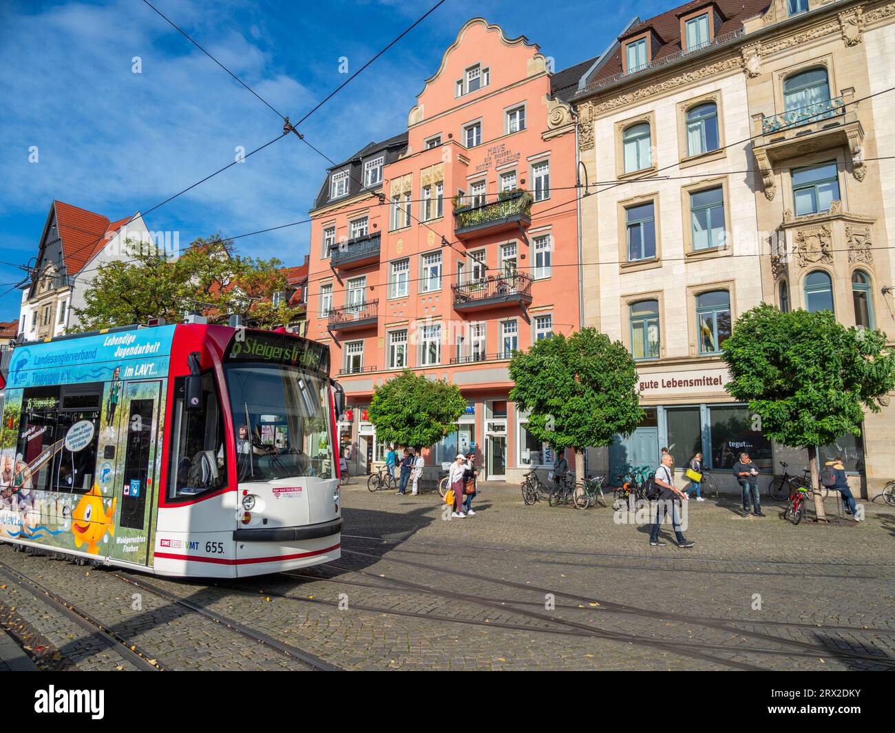 Vista sulla città di Erfurt, la capitale e la città più grande dello stato della Turingia, Germania, Europa Foto Stock