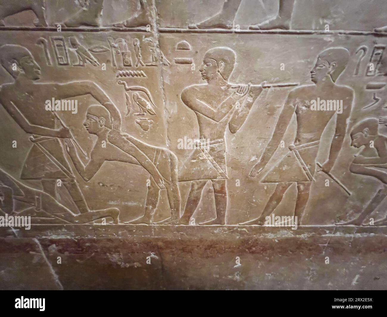 Rilievo da una tomba a Saqqara, parte della Necropoli di Menfite, sito patrimonio dell'umanità dell'UNESCO, Egitto, Africa settentrionale Foto Stock