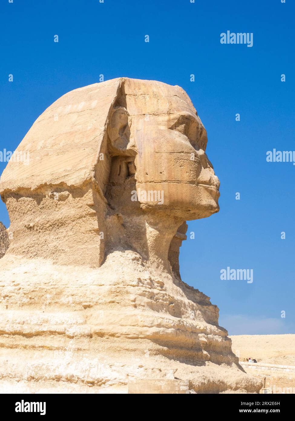 La grande Sfinge di Giza vicino alla grande Piramide di Giza, la più antica delle sette meraviglie del mondo, vicino al Cairo, Egitto e Africa Foto Stock
