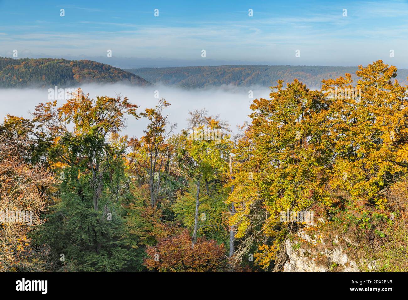 Nebbia sulla Valle Altmuhl, Riedenburg, Parco naturale della Valle Altmuhl, Baviera, Germania, Europa Foto Stock