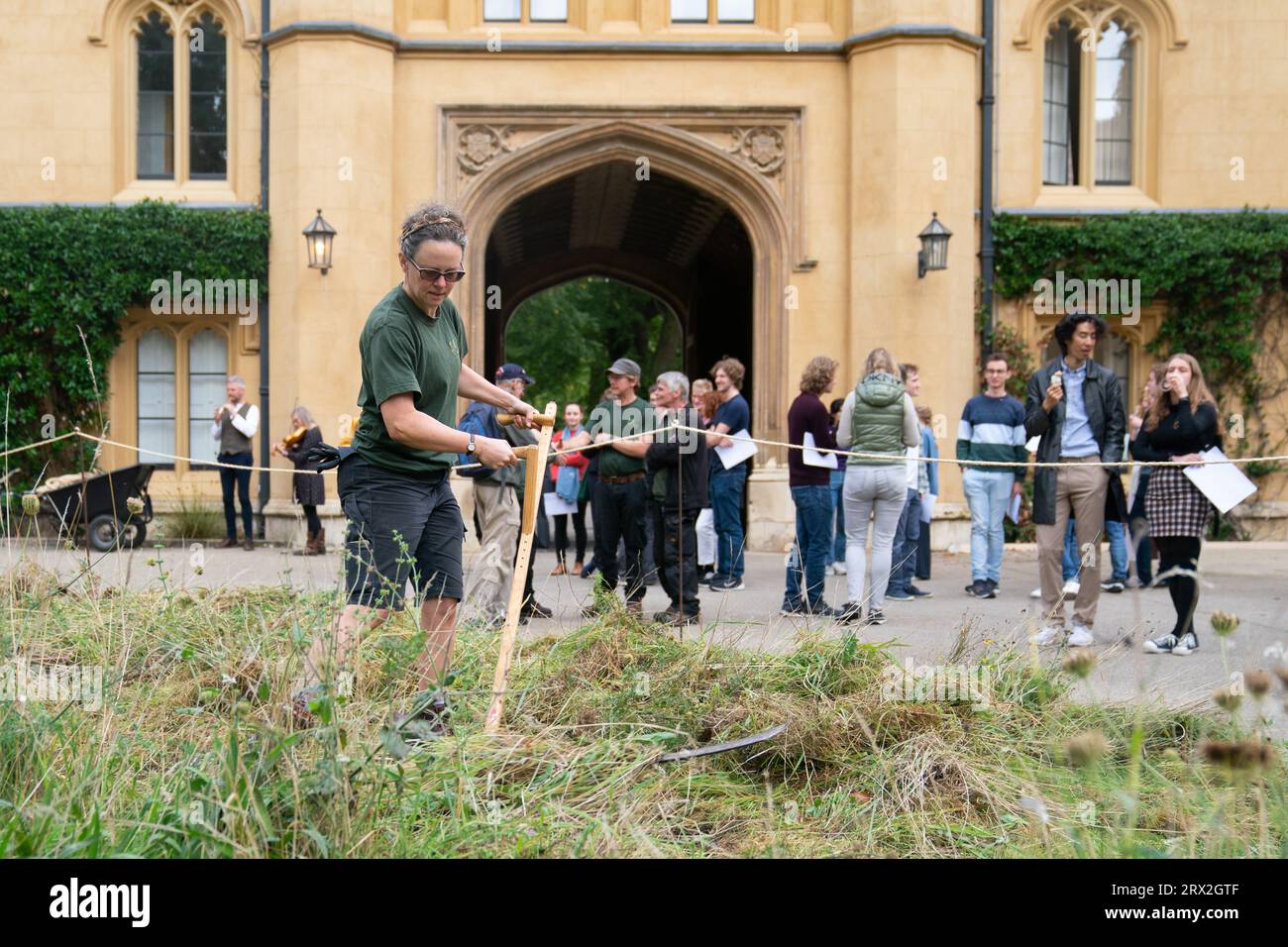 Il Trinity Fellow Professor Marian Holness falcia fiori selvatici nel Meadow Circle alla XIX secolo New Court del Trinity College di Cambridge. La falciatura, o falciatura, è una tradizione secolare che si ritiene sia stata praticata a Trinity prima dei rasaerba. Data immagine: Venerdì 22 settembre 2023. Foto Stock