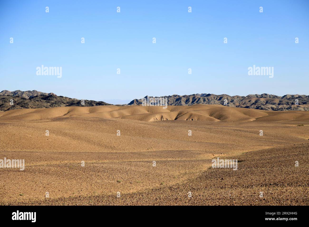 Paesaggio nell'area dei monti Altai Gobi, provincia di Bayankhongor, Mongolia Foto Stock