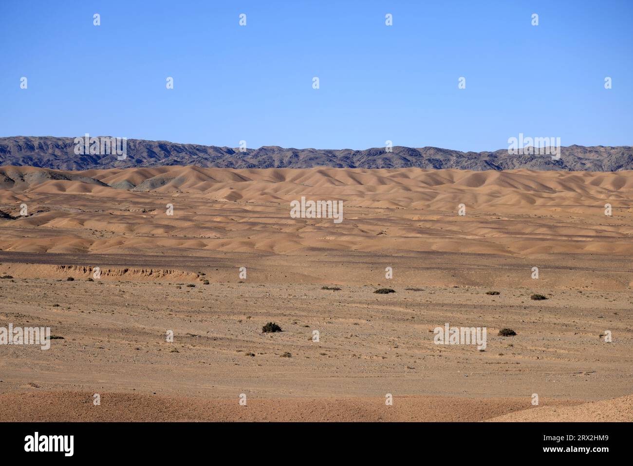 Paesaggio nell'area dei monti Altai Gobi, provincia di Bayankhongor, Mongolia Foto Stock
