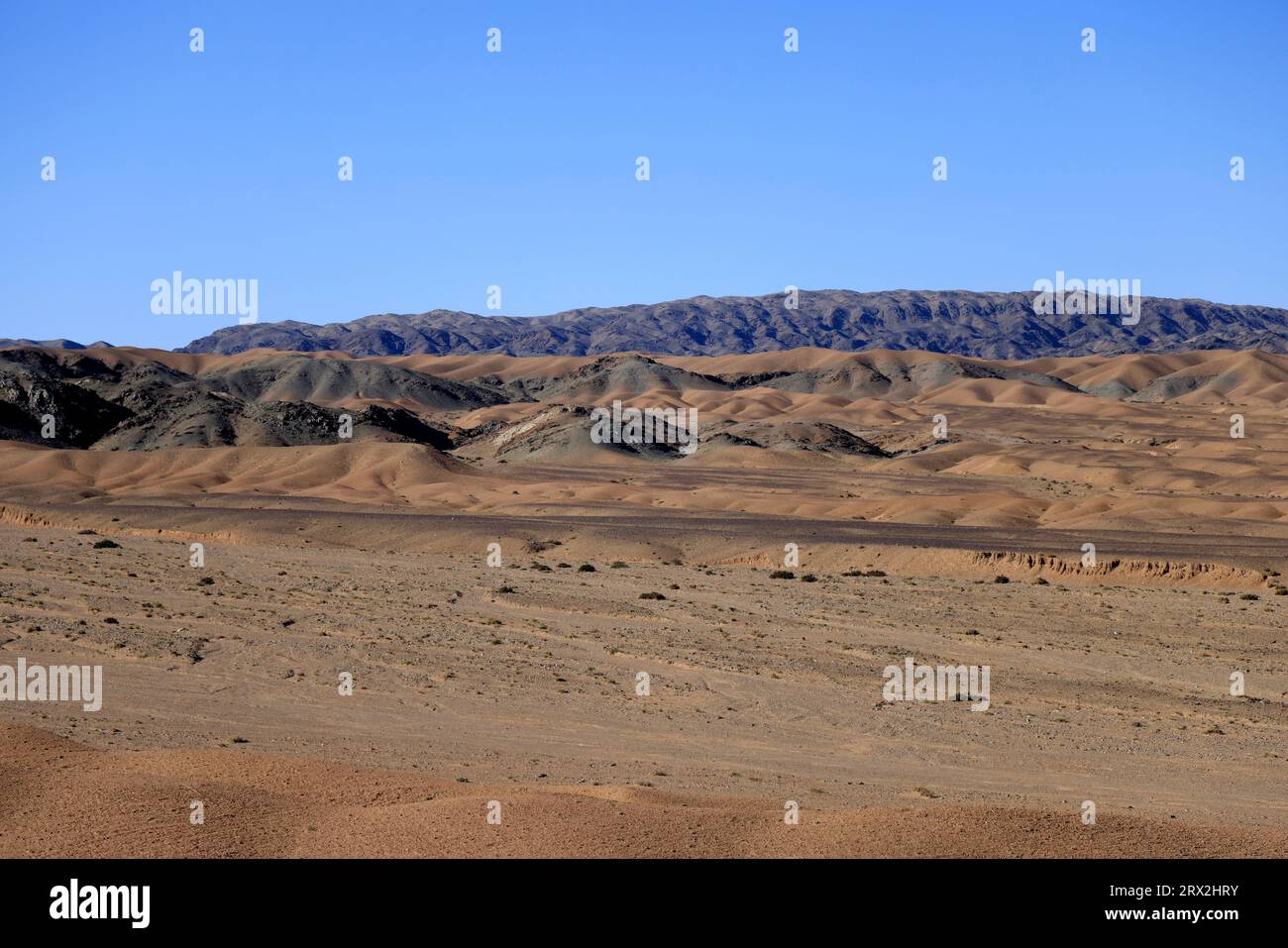 Paesaggio nell'area dei monti Altai Gobi, provincia di Bayankhongor, Mongolia Foto Stock