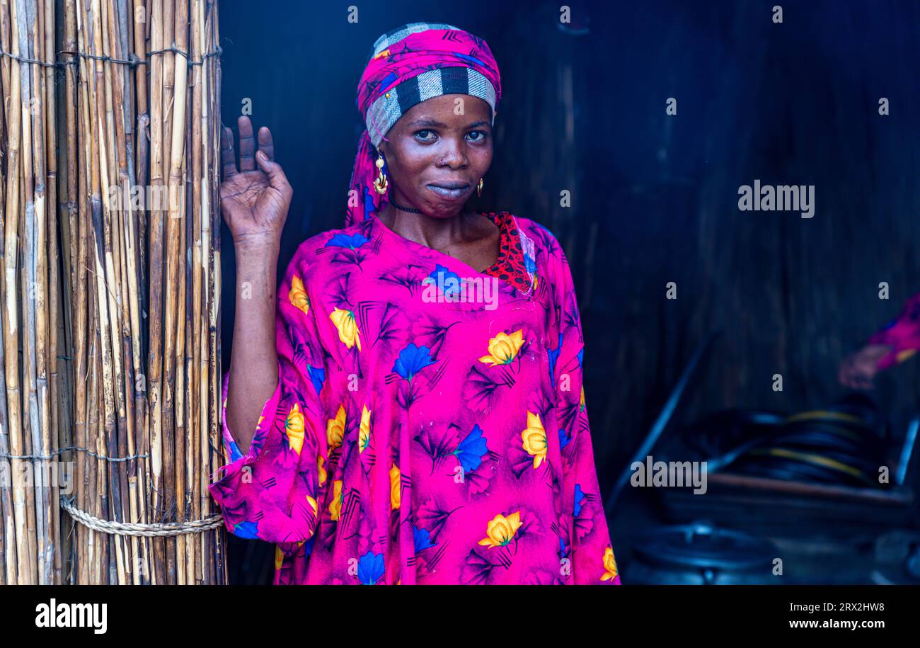 Ritratto di una donna del posto in abiti rosa brillante, Lago Ciad, Ciad, Africa Foto Stock
