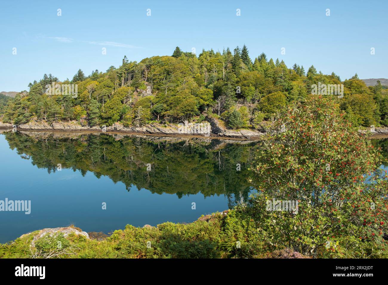 Vista dal castello di Tioram di Loch Moidart Reflections, Lochaber, Scozia, Regno Unito Foto Stock