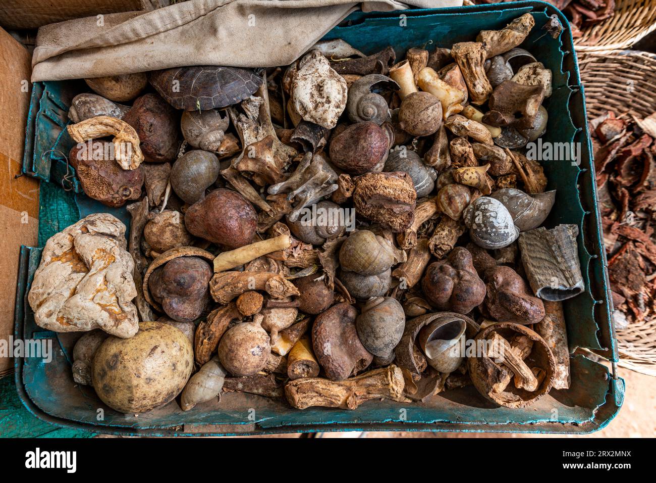 Radici e foglie locali, mercato della medicina tradizionale, Garoua, Camerun settentrionale, Africa Foto Stock