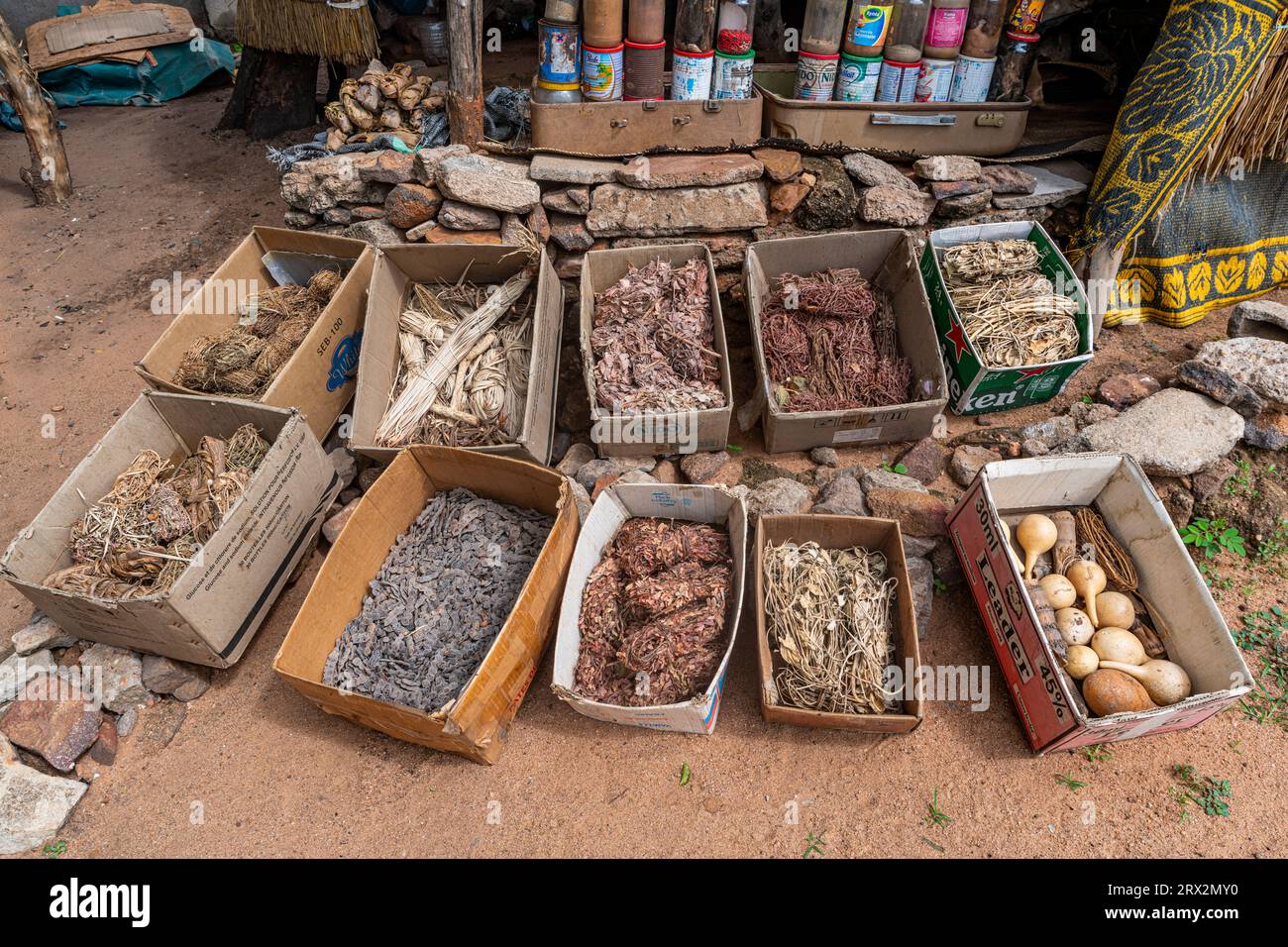 Radici e foglie locali, mercato della medicina tradizionale, Garoua, Camerun settentrionale, Africa Foto Stock