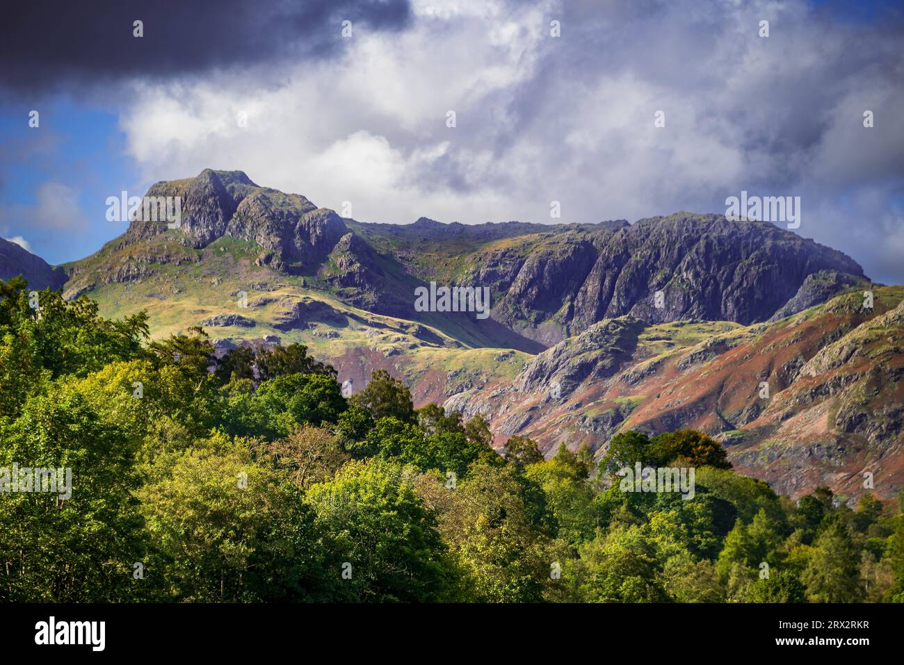 Langdale Pikes nel Lake District National Park con Harrison Stickle a sinistra di Pavey Ark sopra Stickle Tarn. Foto Stock
