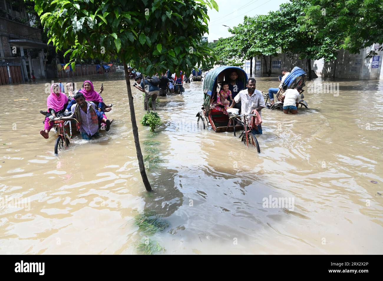 I veicoli provano a guidare e i cittadini camminano attraverso le strade di Dhaka in Bangladesh, il 22 settembre 2023. Dopo la scorsa notte, il pesante deflusso dei monsoni ha causato un eccessivo disboscamento delle acque nella maggior parte delle aree della città di Dacca, Bangladesh. Le strade erano sommerse rendendo il viaggio lento e pericoloso. Foto Stock