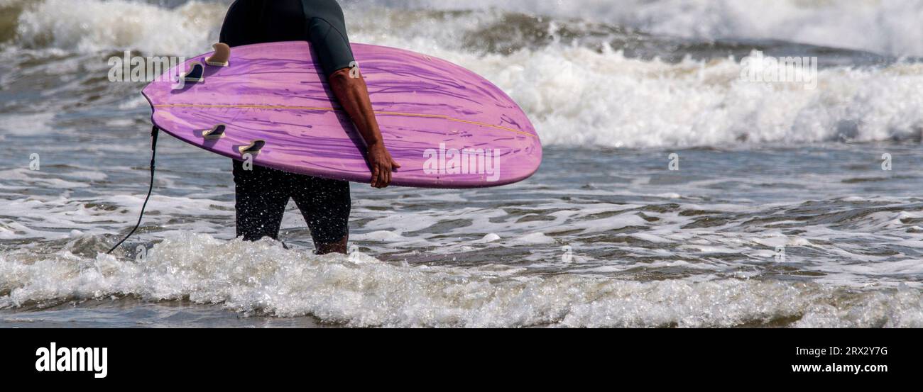 Vista posteriore di un uomo che porta il suo surboard viola nell'oceano a Gilgo Beach Long Island New York. Foto Stock