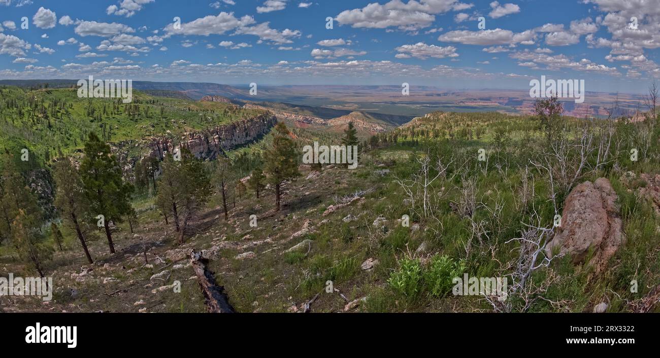 House Valley, con le scogliere di Vermilion in lontananza, vista dalla cima della Saddle Mountain sul bordo nord del Grand Canyon Foto Stock