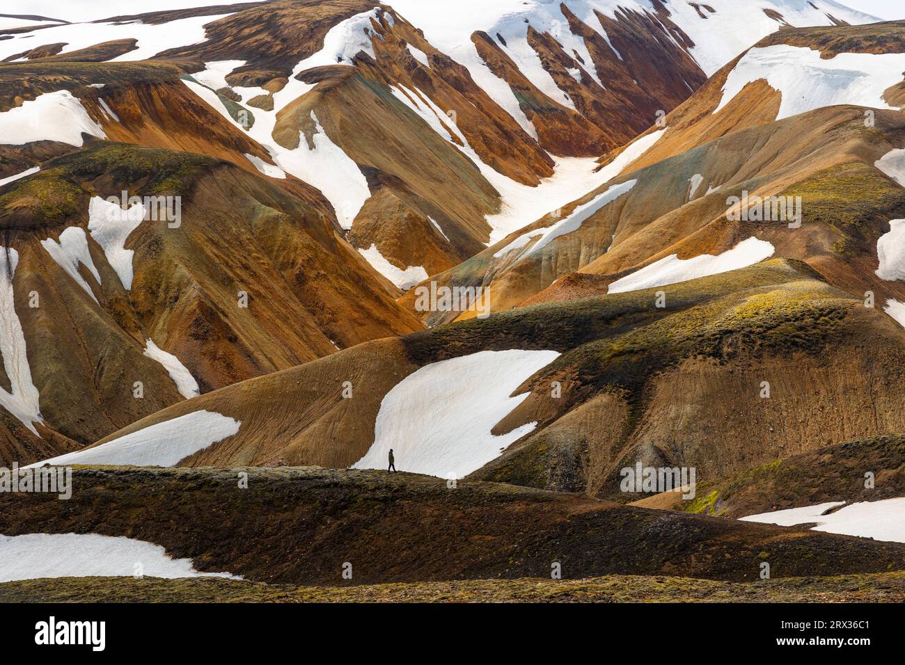 Una persona si goda lo splendido paesaggio della montagna Landmannalaugar in un giorno d'estate, Islanda, regioni polari Foto Stock