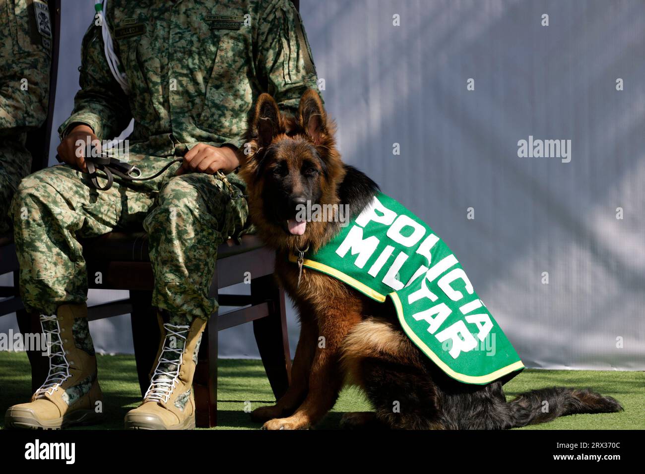 Non esclusiva: 21 settembre 2023, città del Messico, Messico: “Arkadas”, un cane di salvataggio donato dal governo della Turchia al National Canine Pair Day ce Foto Stock