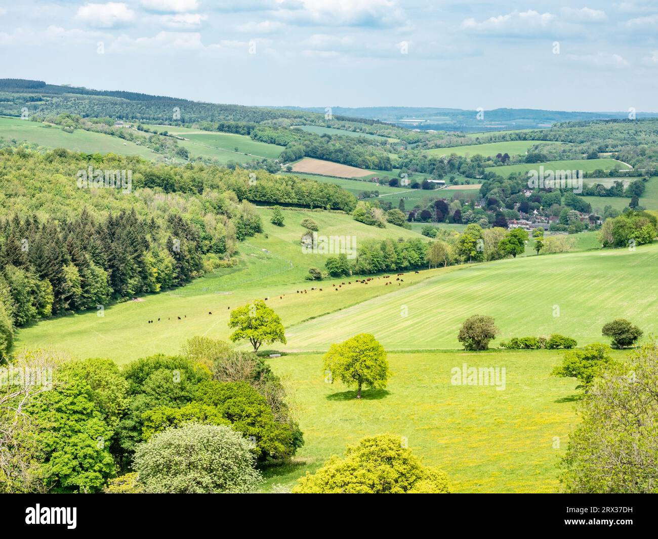 Vista dal Trundle, Goodwood, South Downs National Park, West Sussex, Inghilterra, Regno Unito, Europa Foto Stock