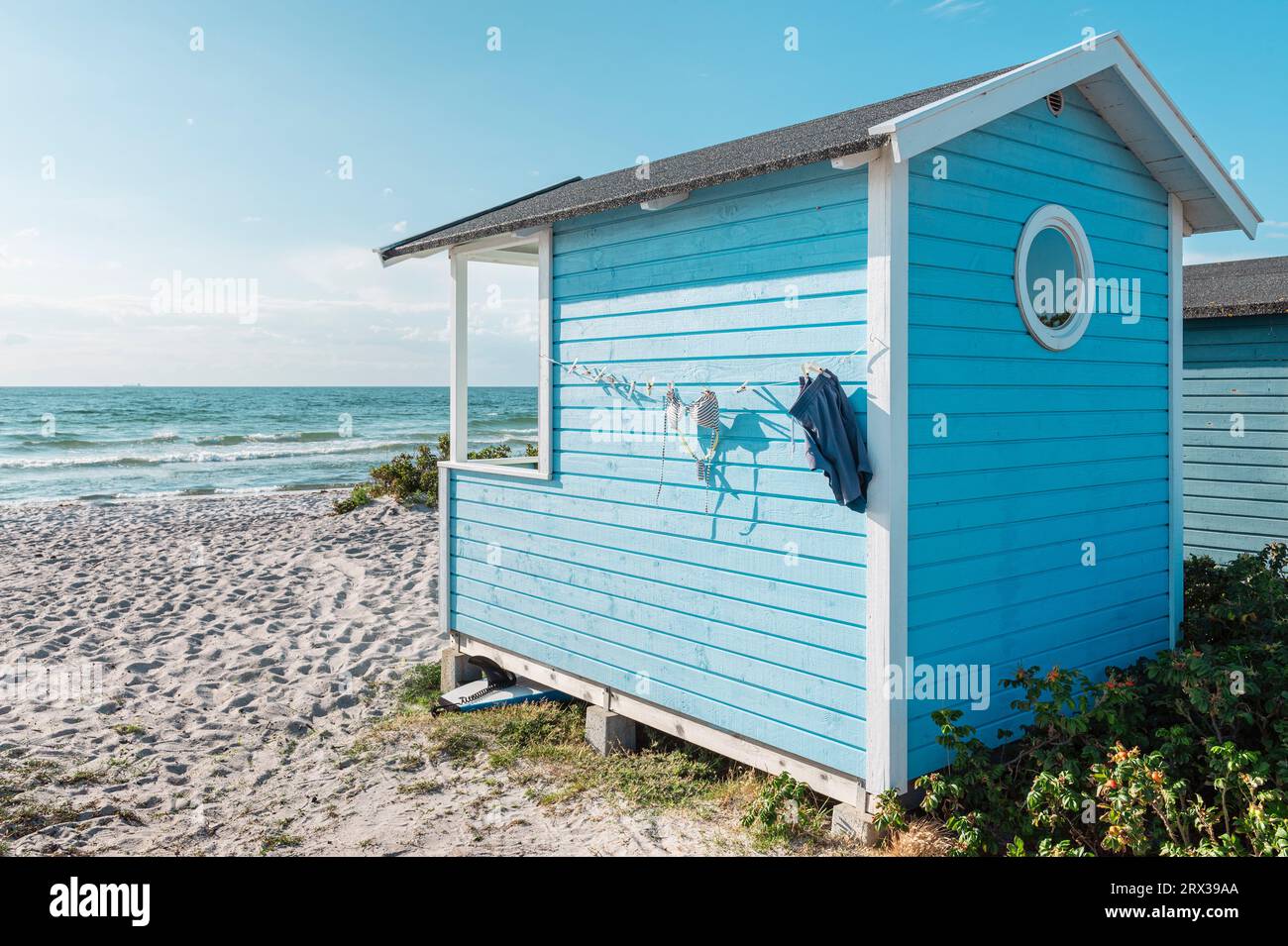 Colorata capanna da bagno in legno blu spazzata dal vento tra le dune di sabbia sulla spiaggia di Skanör med Falsterbo sul Öresund al sole del pomeriggio, Skåne, Svezia Foto Stock